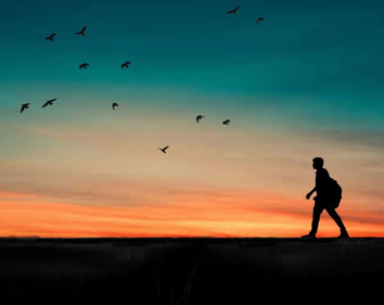 Social Media Content Creation